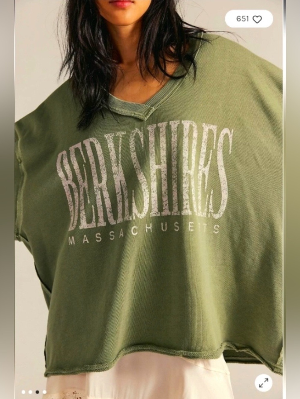 Free People We The Free Venice V-Neck Graphic Sweatshirt